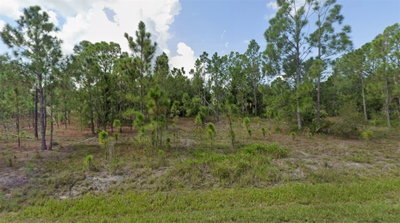 27117 BADGER Drive, Punta Gorda, FL, 33955 — photo 2
