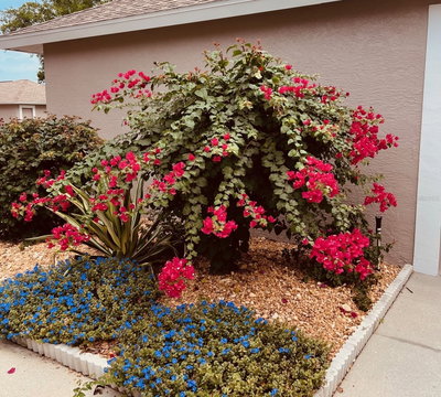 8941 VERANDA Way, Sarasota, FL, 34238 — photo 2