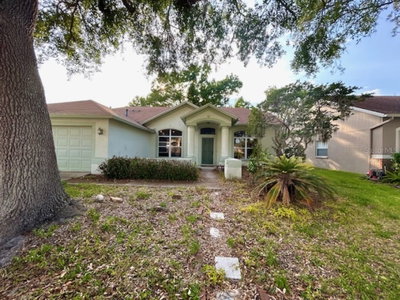 1135 BIG SKY Drive, Wesley Chapel, FL, 33543 — photo 2