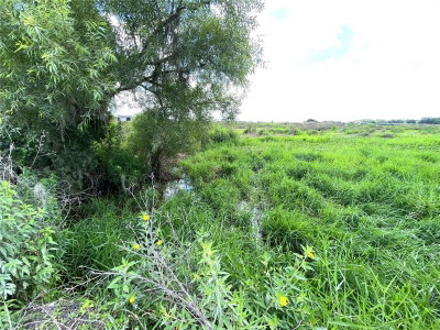 WAUCHULA Road, Myakka City, FL, 34251 — photo 2
