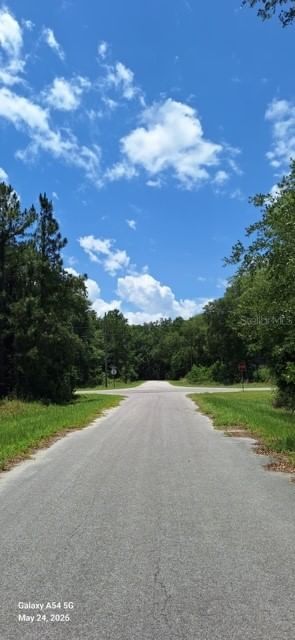 Lot 15 FICHER Lane, Ocklawaha, FL, 32179 — photo 2