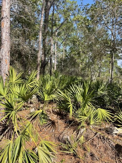 32 FYFE Avenue, Debary, FL, 32713 — photo 2