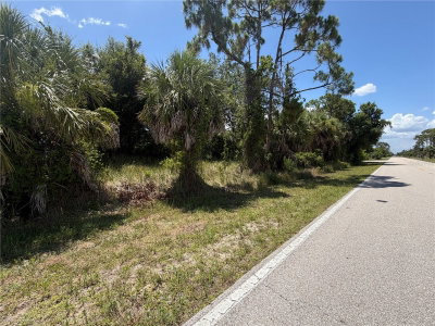 17224 CLIFF Avenue, Port Charlotte, FL, 33948 — photo 2