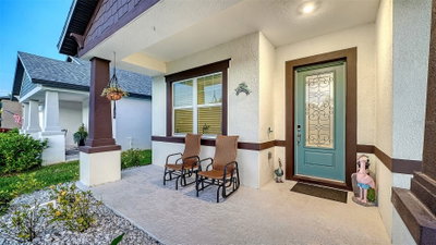 8234 TEA OLIVE Terrace, Palmetto, FL, 34221 — photo 2