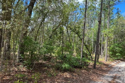 0000 LADY BUG Lane, Melrose, FL, 32666 — photo 2