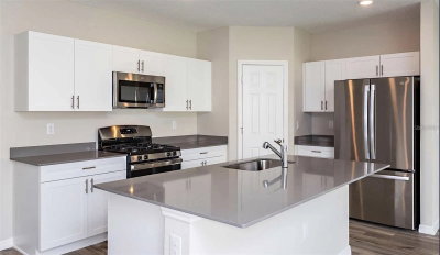 12935 HAWKSTONE TRAIL Boulevard, Lithia, FL, 33547 — photo 2