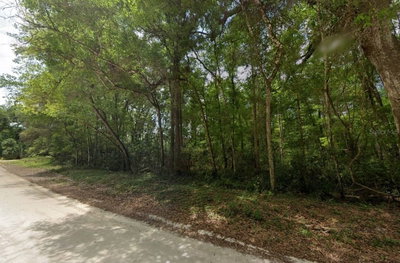 1200 644TH Street, Old Town, FL, 32680 — photo 2