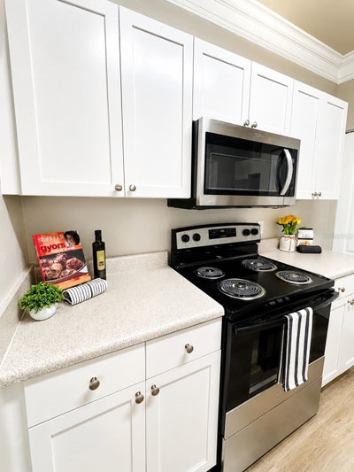 8813 VILLA VIEW Circle, Orlando, FL, 32821 — photo 2