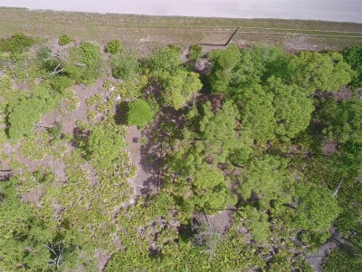 14200 NAYLOR Avenue, Port Charlotte, FL, 33981 — photo 2