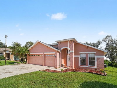 3905 CARDIFF Place, Parrish, FL, 34219 — photo 2