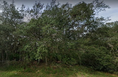 1402 PUNTA GORDA Court, Poinciana, FL, 34759 — photo 2