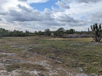 4830 HOLOPAW Street, Lake Wales, FL, 33859 — photo 2