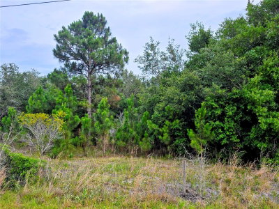 AVON PARK CUTOFF Road, Fort Meade, FL, 33841 — photo 2