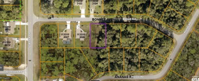 BONNET Avenue, North Port, FL, 34288 — photo 2
