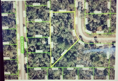 109 ELBA Drive, Lake Placid, FL, 33852 — photo 2