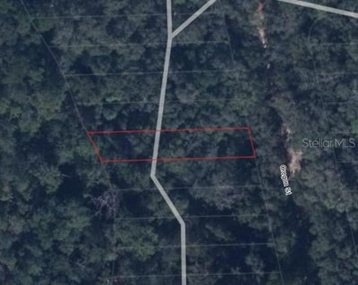 LOT 11, Interlachen, FL, 32148 — photo 2
