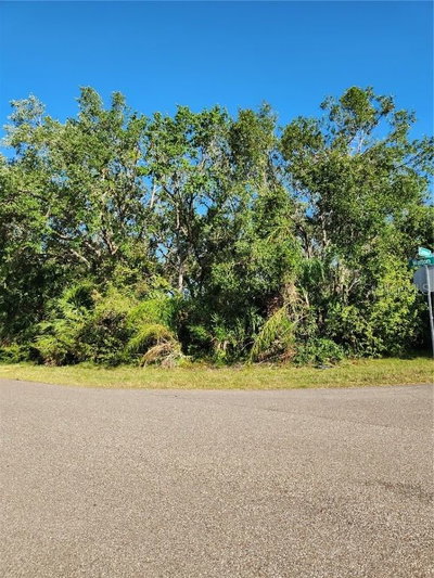 1141 CAZENOVIA Street, Port Charlotte, FL, 33952 — photo 2