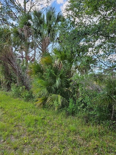RENTSCHER Avenue, North Port, FL, 34291 — photo 2