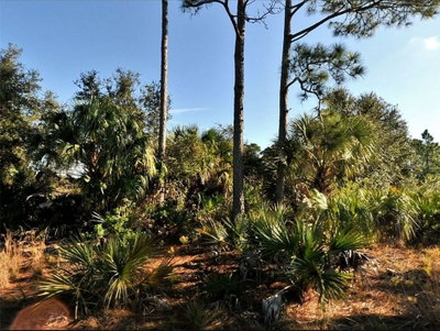 Lot 11 SHENO Drive, North Port, FL, 34288 — photo 2