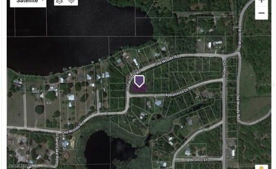OLD WOODS Road, Interlachen, FL, 32148 — photo 2