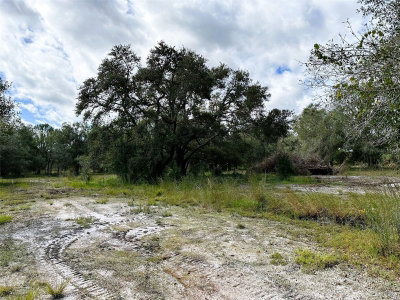 TOMLIN #2 Drive, Arcadia, FL, 34266 — photo 2