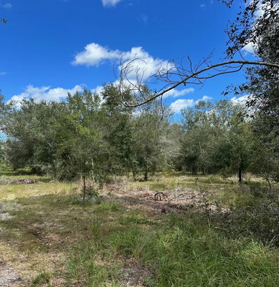 TOMLIN #3 Drive, Arcadia, FL, 34266 — photo 2