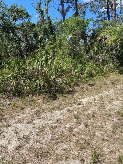 17123 HEMLOCK AVE, Port Charlotte, FL, 33948 — photo 2