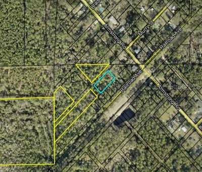 LOTS 1, 2, 3 AND 4 DAVIS AVE, Elkton, FL, 32033 — photo 2