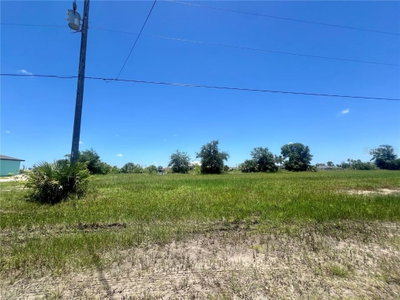 2229 9TH Terrace, Cape Coral, FL, 33993 — photo 2