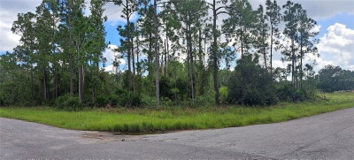 3800 13TH Street, Lehigh Acres, FL, 33972 — photo 2