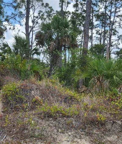 MCGINNIS Terrace, North Port, FL, 34286 — photo 2