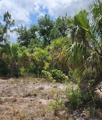 BENNINGTON Street, North Port, FL, 34288 — photo 2