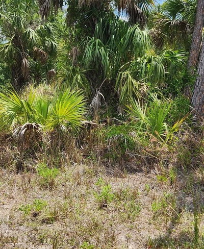 INVERNESS Street, North Port, FL, 34288 — photo 2