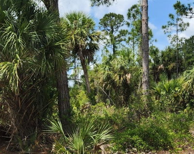 BASKET Street, North Port, FL, 34288 — photo 2