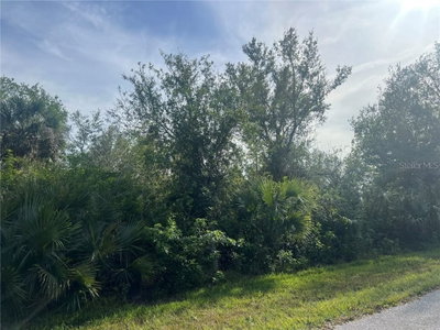 7168 LIPPMAN Road, Port Charlotte, FL, 33981 — photo 2
