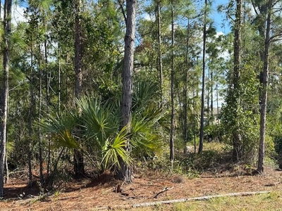142 ALGONQUIN Street, Port Charlotte, FL, 33954 — photo 2