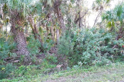 14299 CANNELL Lane, Port Charlotte, FL, 33953 — photo 2