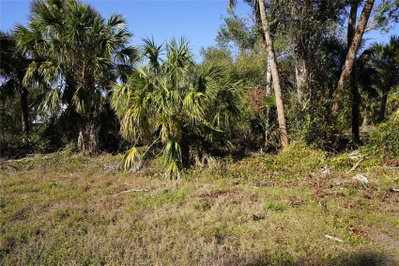 16150 ARCARO Avenue, Port Charlotte, FL, 33954 — photo 2