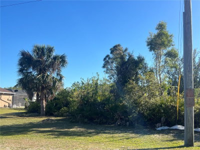 14159 ONSLOW Lane, Port Charlotte, FL, 33981 — photo 2