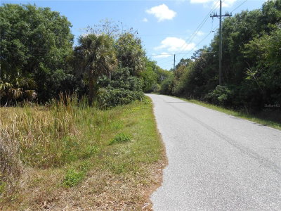 25480 DUNDEE Road, Punta Gorda, FL, 33950 — photo 2