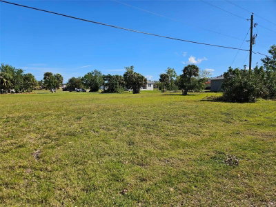 24252 PEPPERCORN Road, Punta Gorda, FL, 33955 — photo 2