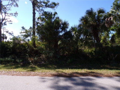 26251 HAPSBURG Road, Punta Gorda, FL, 33955 — photo 2