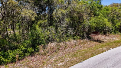 34281 UMBRELLA ROCK Drive, Webster, FL, 33597 — photo 2