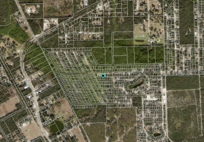 711 HICKORY NUT Trail, Satsuma, FL, 32189 — photo 2