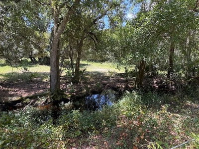 10613 FOSTER Avenue, Arcadia, FL, 34266 — photo 2