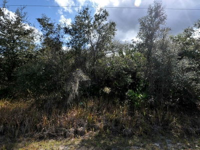 Lot 31 CASCO Circle, North Port, FL, 34288 — photo 2