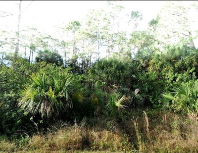BLUELEAF Drive, North Port, FL, 34288 — photo 2
