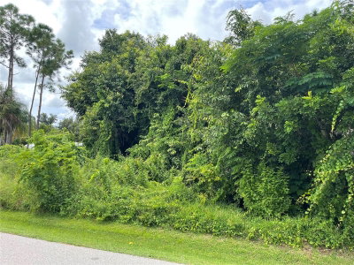 11329 PINETRAIL Road, Punta Gorda, FL, 33955 — photo 2