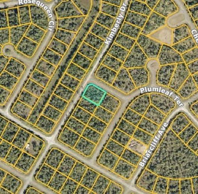 DIELS Place, North Port, FL, 34288 — photo 2