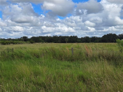 SE PIGGY BACK Road, Arcadia, FL, 34266 — photo 2